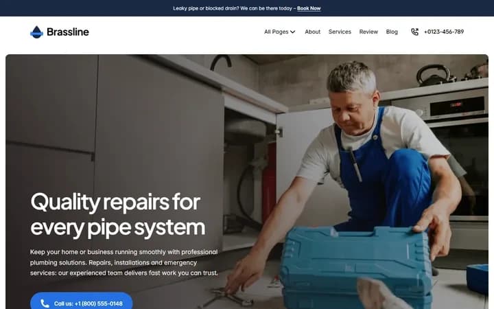 Brassline WordPress starter homepage preview