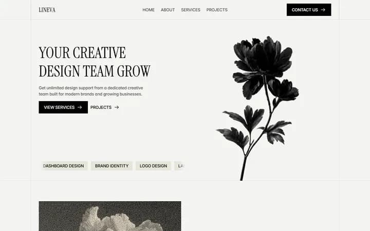 Lineva WordPress starter homepage preview