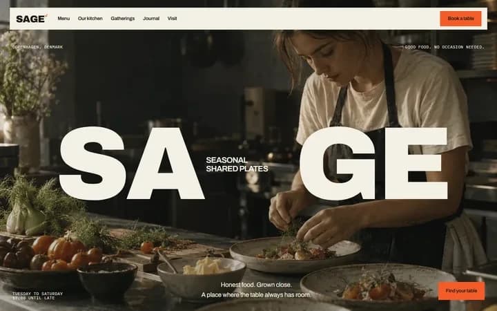 Sage WordPress starter homepage preview