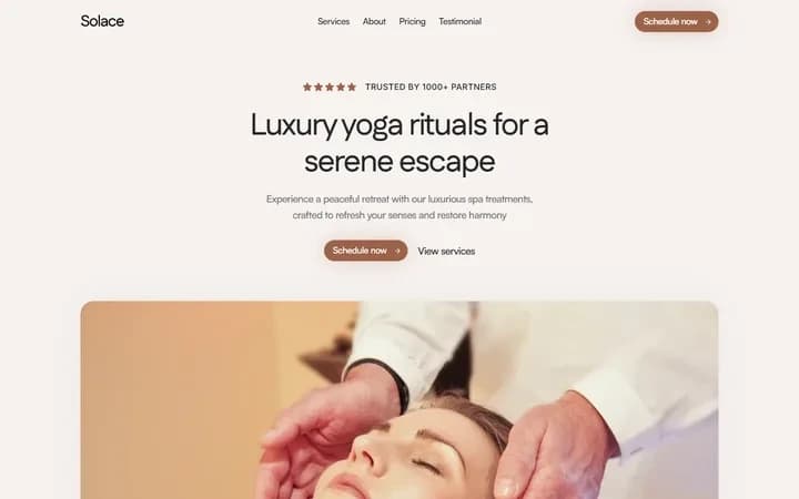 Solace WordPress starter homepage preview