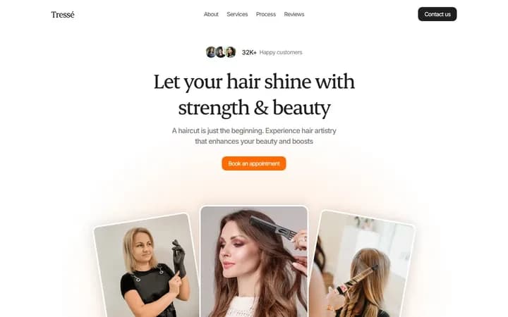 Tresse WordPress starter homepage preview