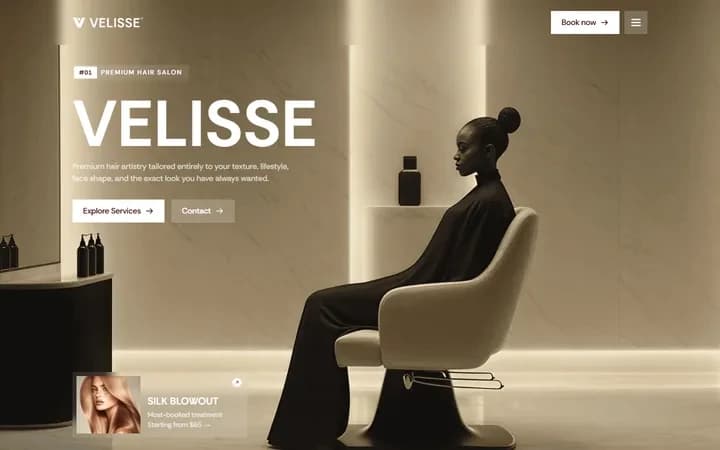 Velisse WordPress starter site homepage preview