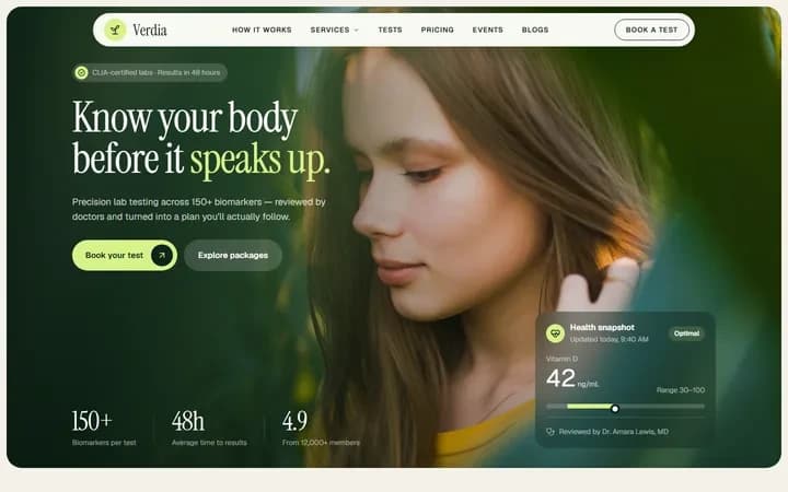 Verdia WordPress starter homepage preview