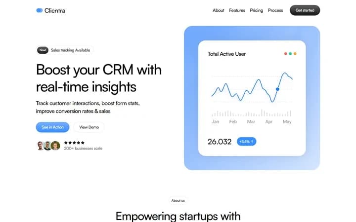 Clientra WordPress starter homepage preview