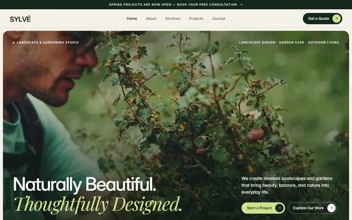 Sylvé WordPress starter site homepage preview